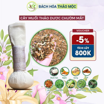 Cây Muối Thảo Dược Chườm Mắt | Bách Hóa Thảo Mộc