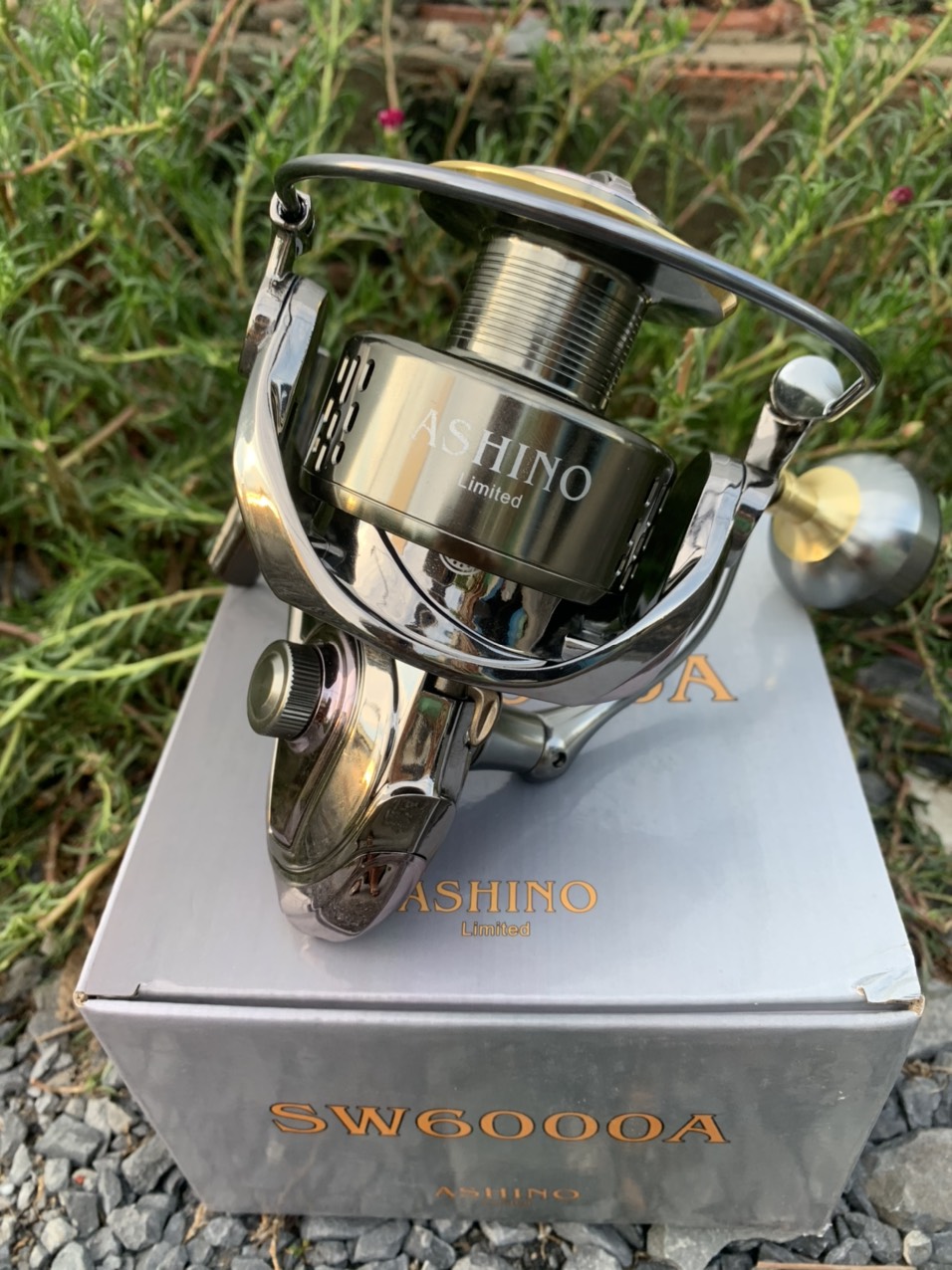 Máy câu cá ashino sw6000a limited