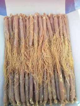 Hồng sâm khô 100g