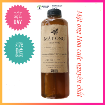 Mật ong hoa cà phê Gia Lai nguyên chất dạng chai nhựa 1000ml (480Gr)| Berriesfarm