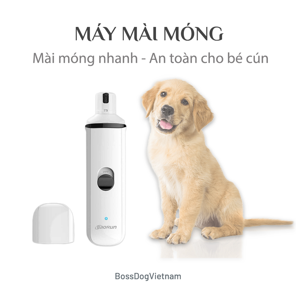 Máy mài móng cho chó mèo FANG | Mài nhanh và an toàn | BossDog