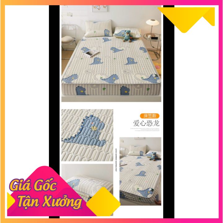 Chiếu Điều Hòa 5d Mát Lạnh 100% Hàng Chuẩn Loại 1 Chiếu Cao Su Non Cao Cấp