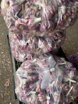 1kg Tỏi Tím rặc lựa từng củ đảm bảo chất lượng không hư bất kỳ củ nào ( Tỏi Tím Lý Sơn, Tỏi tím Đà Lạt, Tỏi Cô Đơn, Hành Tím)