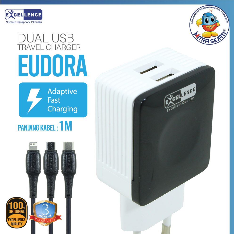 Travel Charger Excellence Eudora 2.1 Ampere 2USB Charger for Micro/Type-C/iPhone Charger for Universal