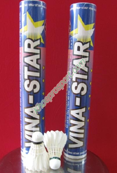 Ống cầu lông vina star