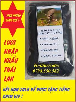 lưới tàn hình 4 phân 30m lưới bẫy chim ri, sắc ô,sẻ.chao chảo.chào mào  khuyên mắt 4 phân cao 6m 5 dây 4 túi
