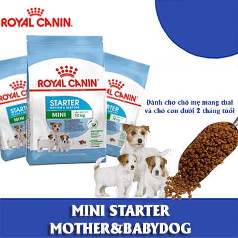 Royal canin mini starter mother & babydog dành cho chó size mini và đang trong lứa tuổi dưới 2 tháng hoặc chó mẹ đang cho con bú. thức ăn hạt cho chó| thức ăn chó| hạt cho chó| đo ăn cho chó| thức ăn vặt cho