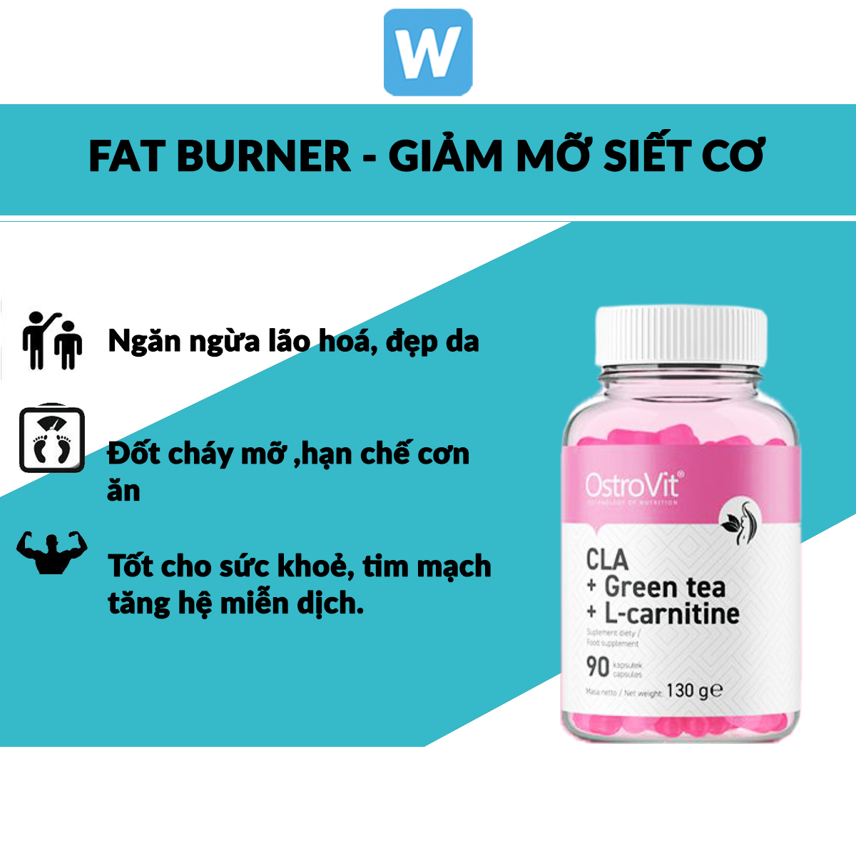 Tpbs hỗ trợ giảm mỡ ostrovit l carnitine cla + green tea