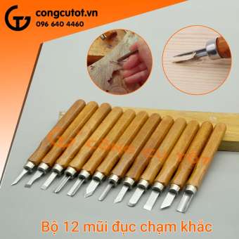 Bộ 12 đục chạm khắc gỗ cầm tay - 12 mũi đa dạng, sắn bén và không rỉ Bộ đục gỗ tay cầm thích hợp cho việc chạm khắc gỗ,điêu khắc mỹ nghệ