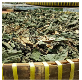 500gr lá đắng khô tốt cho dạ dày