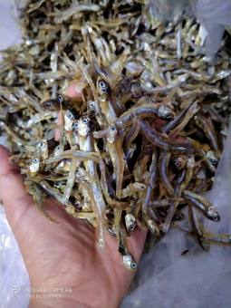 100g Khô Cá Cơm Sạch Cát Tươi ngon từ biên vũng tàu[ GIAO HÀNG NHANH 4h HCM]