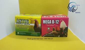 Combo 01 hộp Thuốc sổ giun, sán cho gà đá ASTIG + 01 hộp Thuốc bổ gà đá tăng nước máu, nhanh tới đá - Mega B12