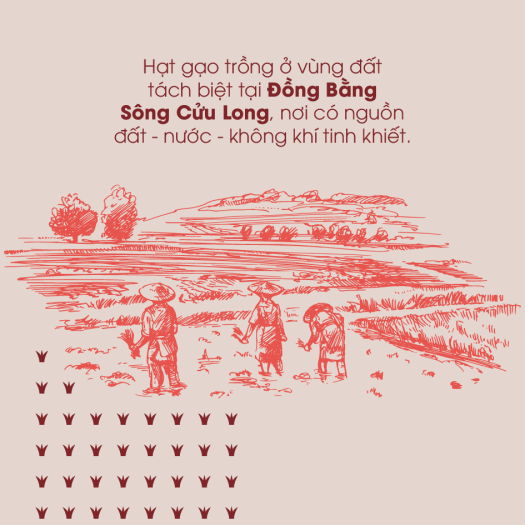 Gạo lứt đỏ ăn kiêng 100% hữu cơ - ECOBA Huyết Rồng 1kg - Mềm bùi dễ ăn -  Đạt chứng nhận hữu cơ quốc tế in trên hộp