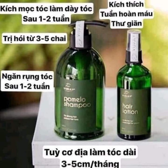 Dầu gội bưởi+ xịt tinh dầu bưởi vijuly