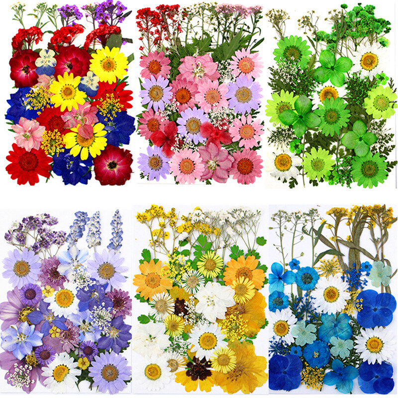 35-42pcs Dried Pressed Flowers For Resin, Real Pressed Flowers Dry