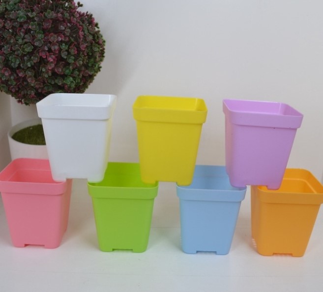 Chậu nhựa kích thước 7x7cm trồng sen đá