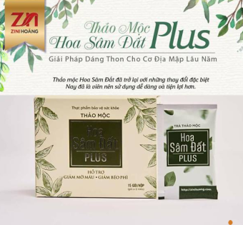 Trà hoa sâm đất plus ZN mẫu mới dạng viên hộp 30 viên- giảm mạnh cam kết chính hãng