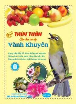 CÁM VÀNH KHUYÊN THÚY TUẤN 0