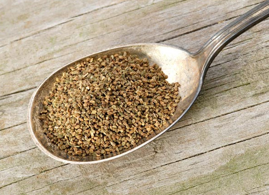 100g Celery seed/ Hạt cần tây