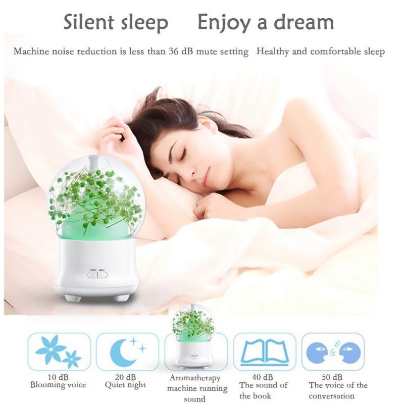 moob Ultrasonic Aromatherapy Essential Oil Diffuser Aroma Diffuser Cool Mist Humidifier Preserved Fresh Flower-UK PLUG - intl Singapore