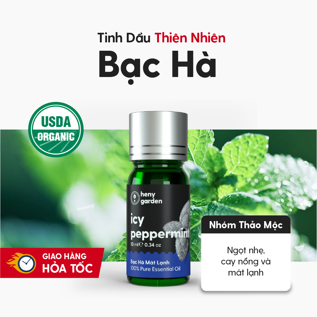Tinh Dầu Thơm Phòng Bạc Hà (Mint) Làm Nến Thơm Xông Thơm Phòng Kèm Video Hướng Dẫn Làm Nến Thơm - Có Kiểm Định Chất Lượng QUATEST 3 - Nguyên Liệu Làm Nến Thơm Dụng Cụ Làm Nến Sáp Làm Nến Heny Garden