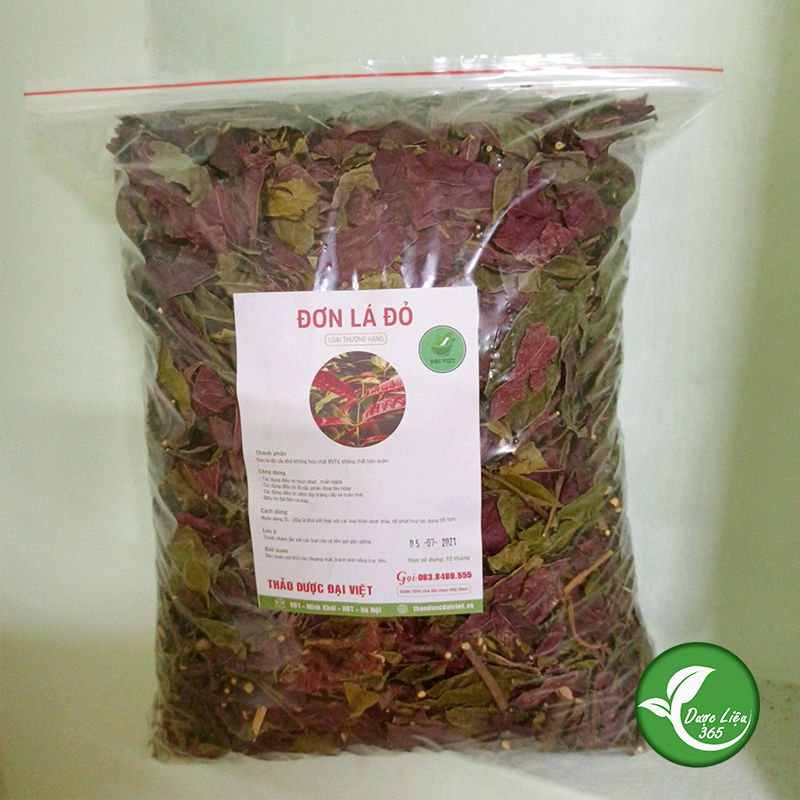 Cây đơn lá đỏ khô - dv150