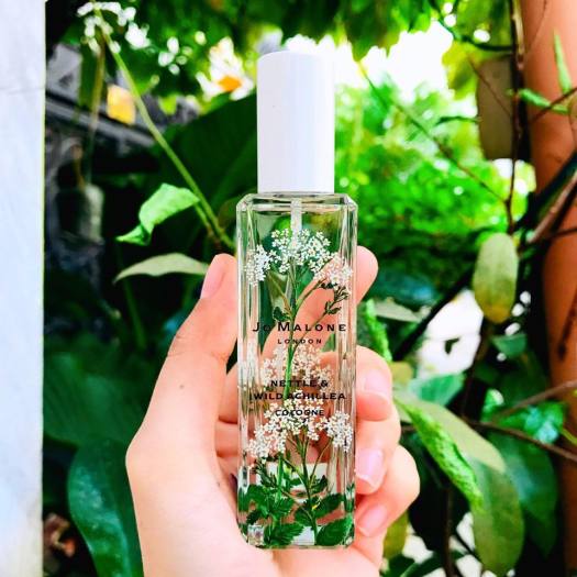 香水(ユニセックス) Jo Malone NETTLE&WILD ACHILLEA 30ml Wild Achillea Cologne | Jo Malone London