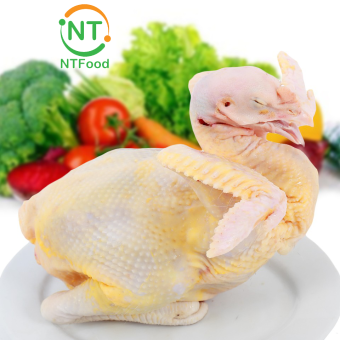 Gà ta thả vườn nguyên con Phan Rang nhiều size tùy chọn - Nhất Tín Food