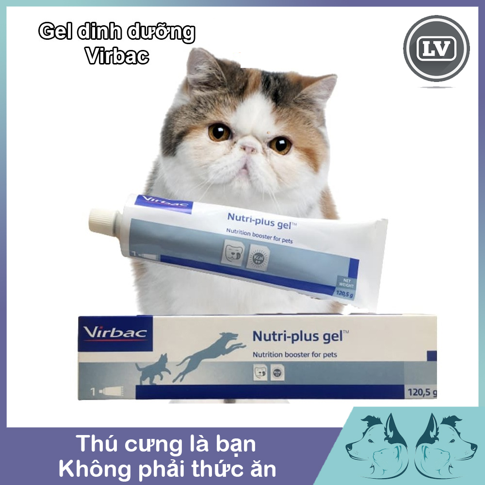 Gel dinh dưỡng chó mèo virbac nutri plus virbac megaderm