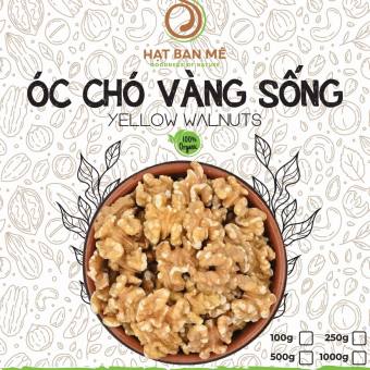 NHÂN ÓC CHÓ VÀNG - QUẢ ÓC CHÓ VÀNG - NHẬP KHẨU MỸ - HẠT BAN MÊ FOOD
