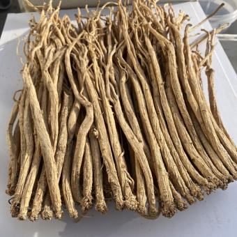 Đẳng Sâm Khô 100Gr ( Đảng Sâm )