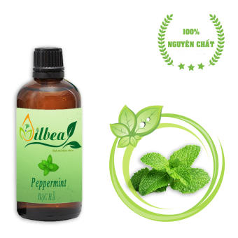 Tinh dầu bạc hà 100ml