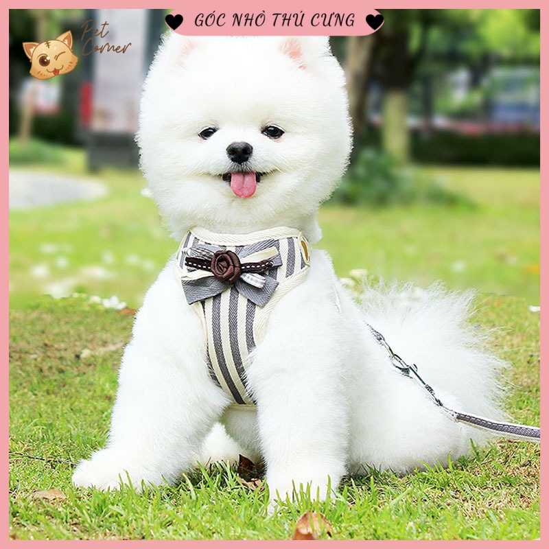 Dây dắt thú cưng kèm yếm