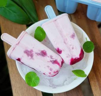 Khuôn làm kem Kari