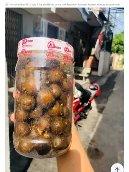 ô mai sấu giòn cây 500g