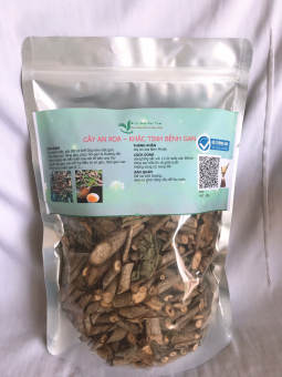 Cây an xoa - dược liệu tuệ tâm - Gói 1kg