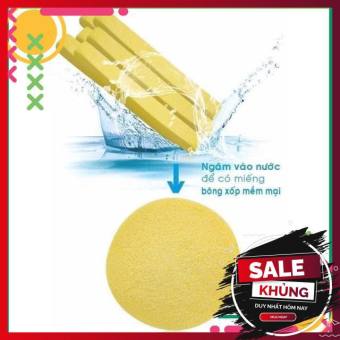 🌺FREESHIP🌺 Bông Mút Nở ⇉ Lau Rửa Mặt Cho Spa⇉ Thẩm Mỹ Viện
