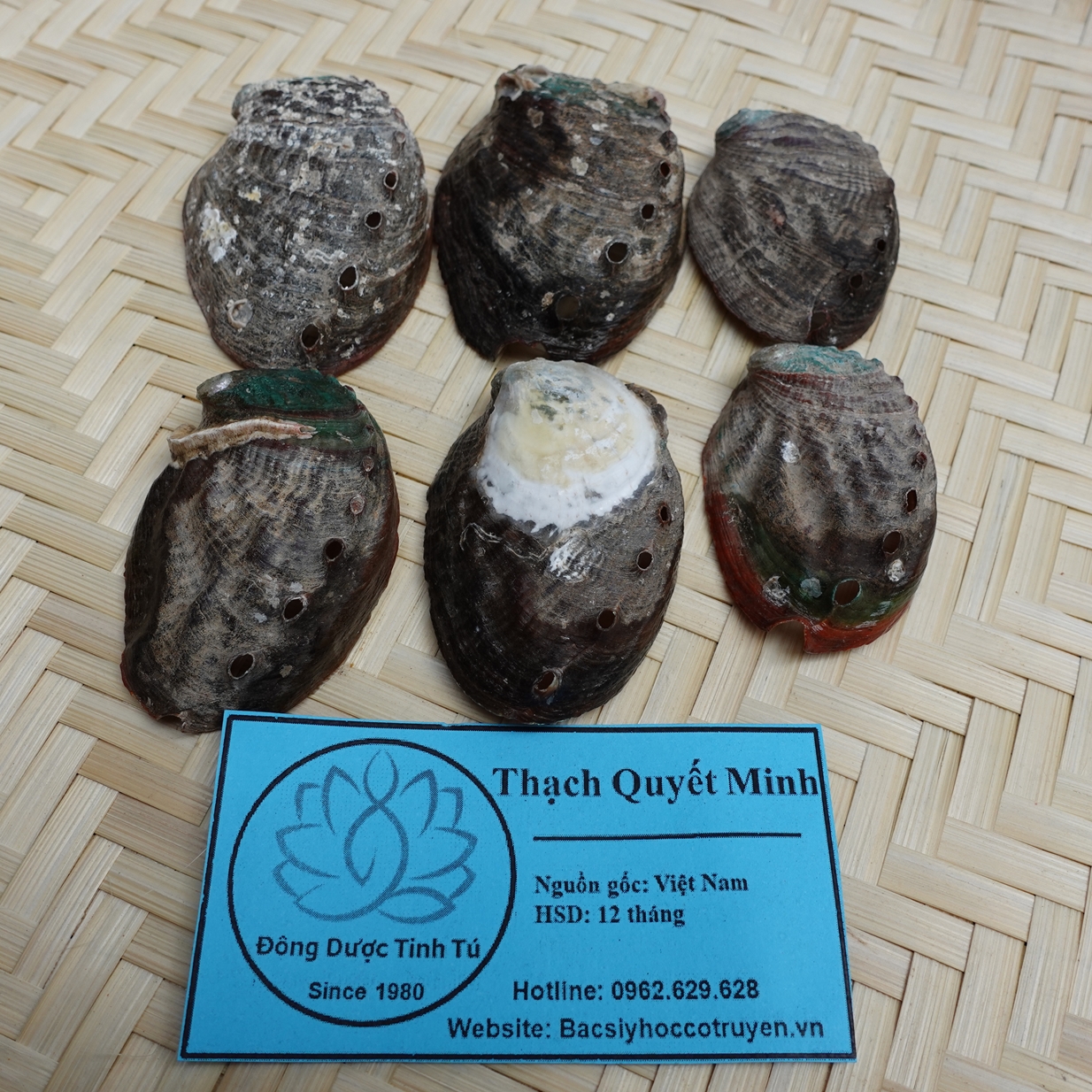 Thạch quyết minh 100g, dược liệu loại 1, sạch
