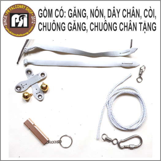 Phụ kiện chim ưng săn mồi diều hâu