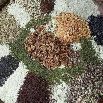 Bột ngũ cốc tăng cân 1kg.