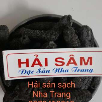 5 con hải sâm đen. Hải sâm khô chất lượng, hàng siêu chuẩn. Dưa chuột biển