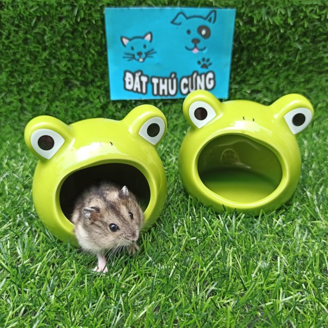 Nhà ngủ sứ Hamster hình chú ếch Size lớn