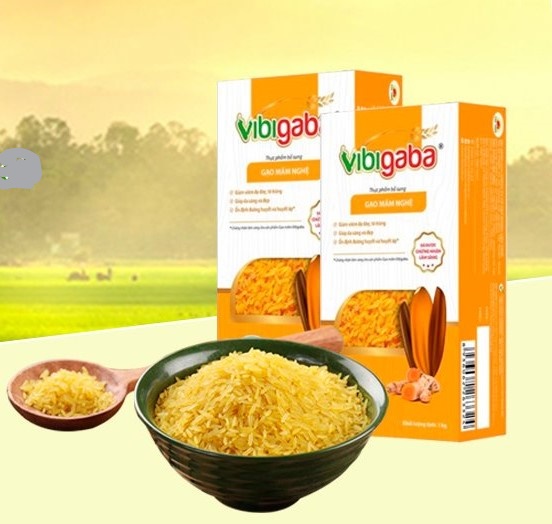 COMBO 2 HỘP = 2 KG Gạo mầm Vibigaba Nghệ là gạo còn nguyên phôi cho nẩy mầm trong đk thích hợp để các enzyme trong hạt gạo được kích hoạt tạo nhiều chất dd, đặc biệt hàm lượng chất Gaba tự nhiên cao hơn 6L gạo