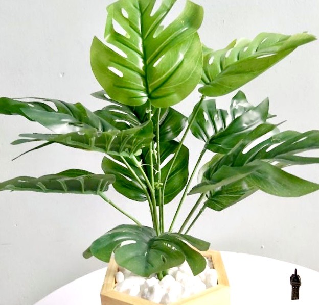 Cây giả, chậu cây lá rùa, cây bàng cao 45cm kèm chậu gỗ lục giác decor xanh mát