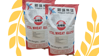 VITAL WHEAT GLUTEN - GLUTEN LÚA MÌ (Bột mì căn) - 500G