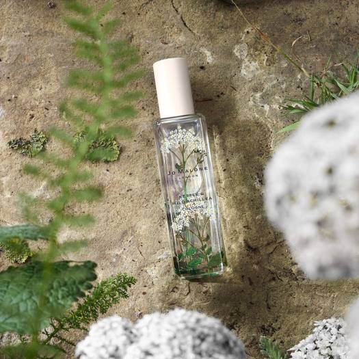 香水(ユニセックス) Jo Malone NETTLE&WILD ACHILLEA 30ml Jo Malone NETTLE&WILD ACHILLEA 30ml 香水(ユニセックス)
