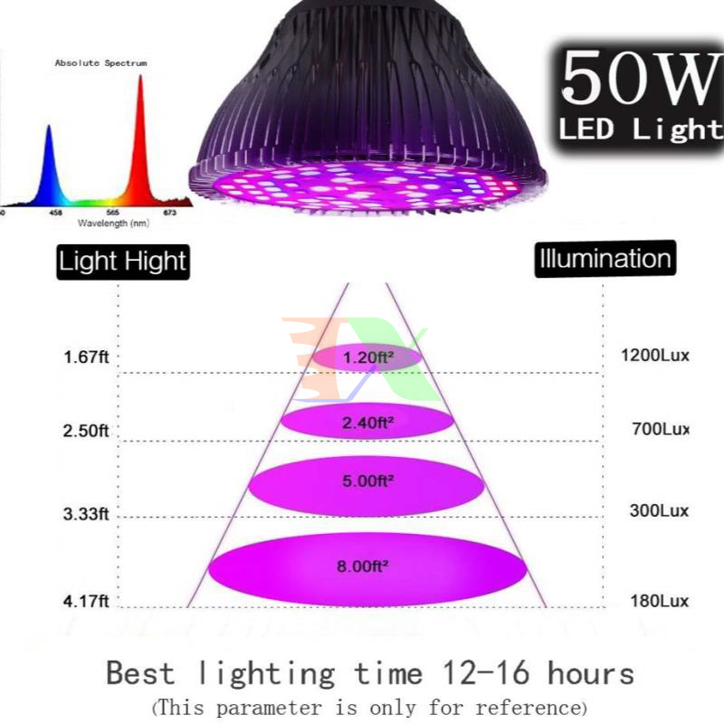 Đèn LED trồng cây 50W, đèn led trồng cây trong nhà