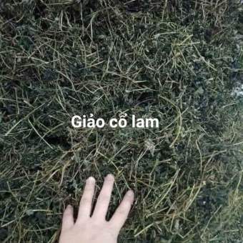 1kg giảo cổ lam