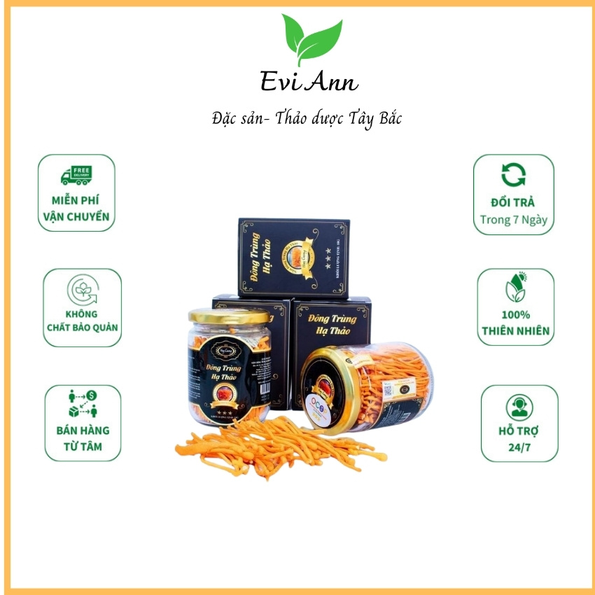 [Freeship]Đông trùng hạ thảo Huy Cương sợi khô-sấy thăng hoa  {LOẠI ĐẶC BIỆT} Hũ 10gram -Adnosine & Cordycepin cao, đông trùng hạ thảo nuôi hữu cơ tăng khả năng miễn dịch, cải thiện sức khỏe, giúp ngủ ngon.