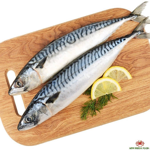 Cá nục Nhật / cá saba Nhật - Đóng hút chân không (1kg ) Làm món cá kho cực bắt cơm